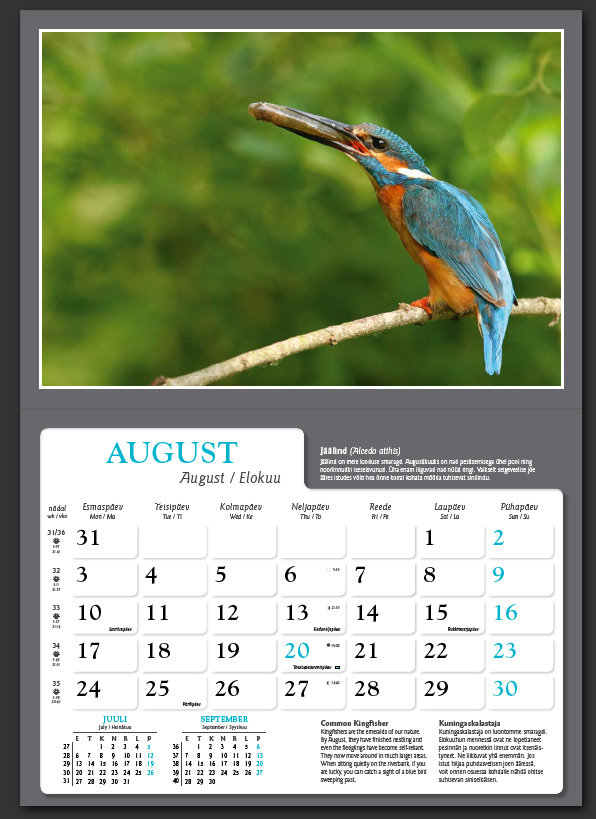 Remo Savisaar kalender 2009 august