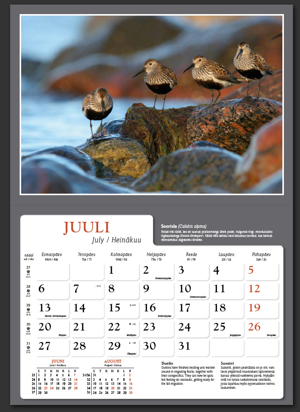 Remo Savisaar kalender 2009 juuli
