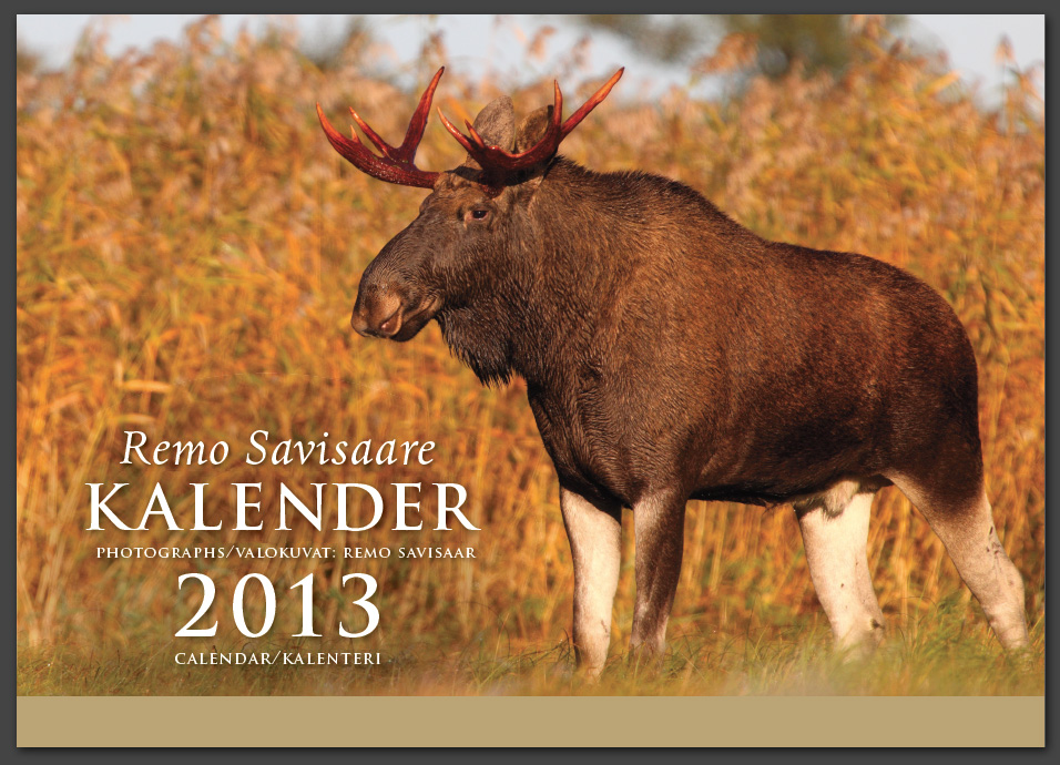 Remo Savisaar kalender 2013 esikaas