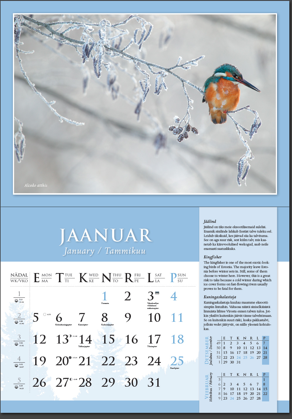 Remo Savisaar kalender 2015 Jaanuar