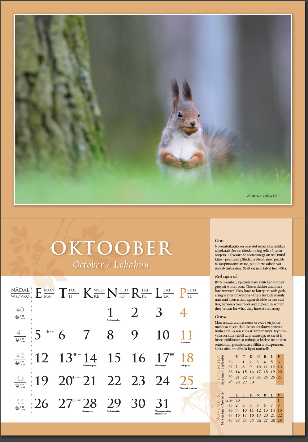 Remo Savisaar kalender 2015 Oktoober