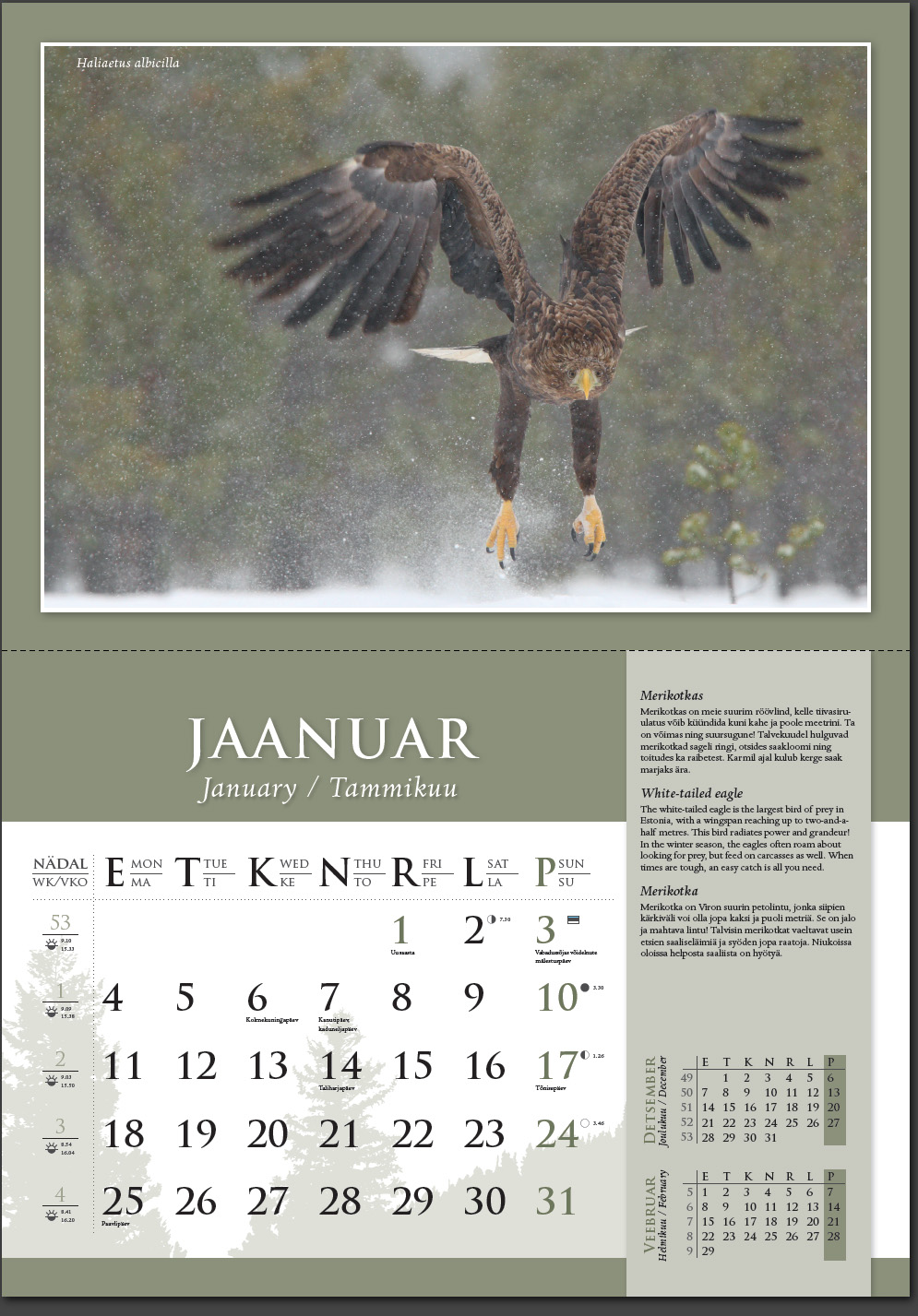 Remo Savisaar kalender 2016 Jaanuar