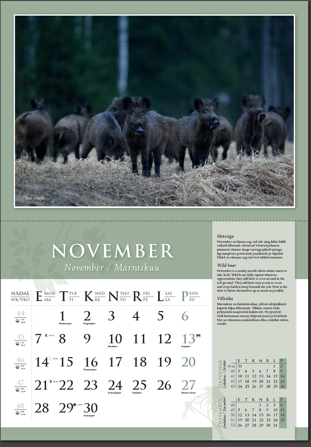 Remo Savisaar kalender 2016 Oktoober