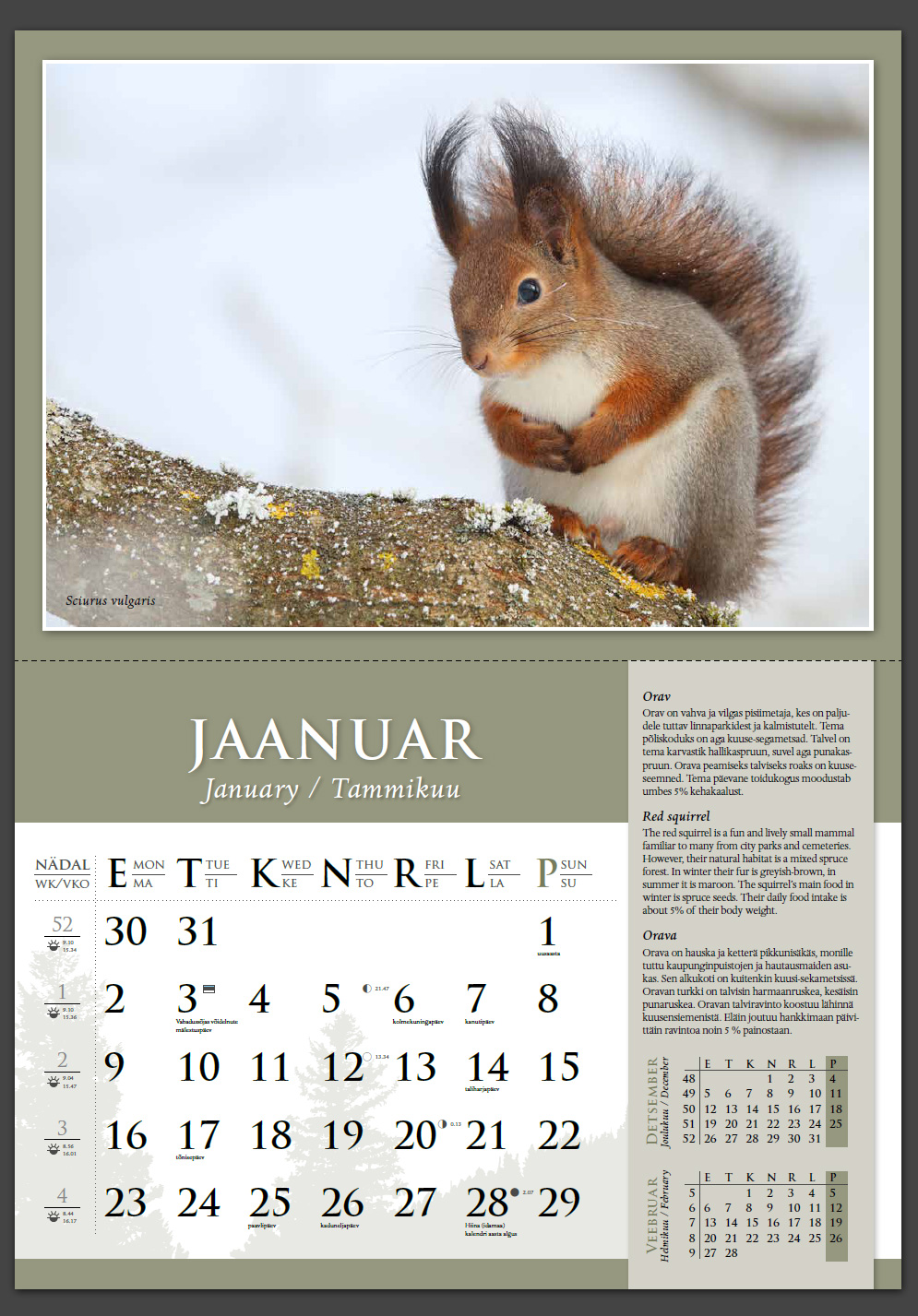 Remo Savisaar kalender 2016 Jaanuar