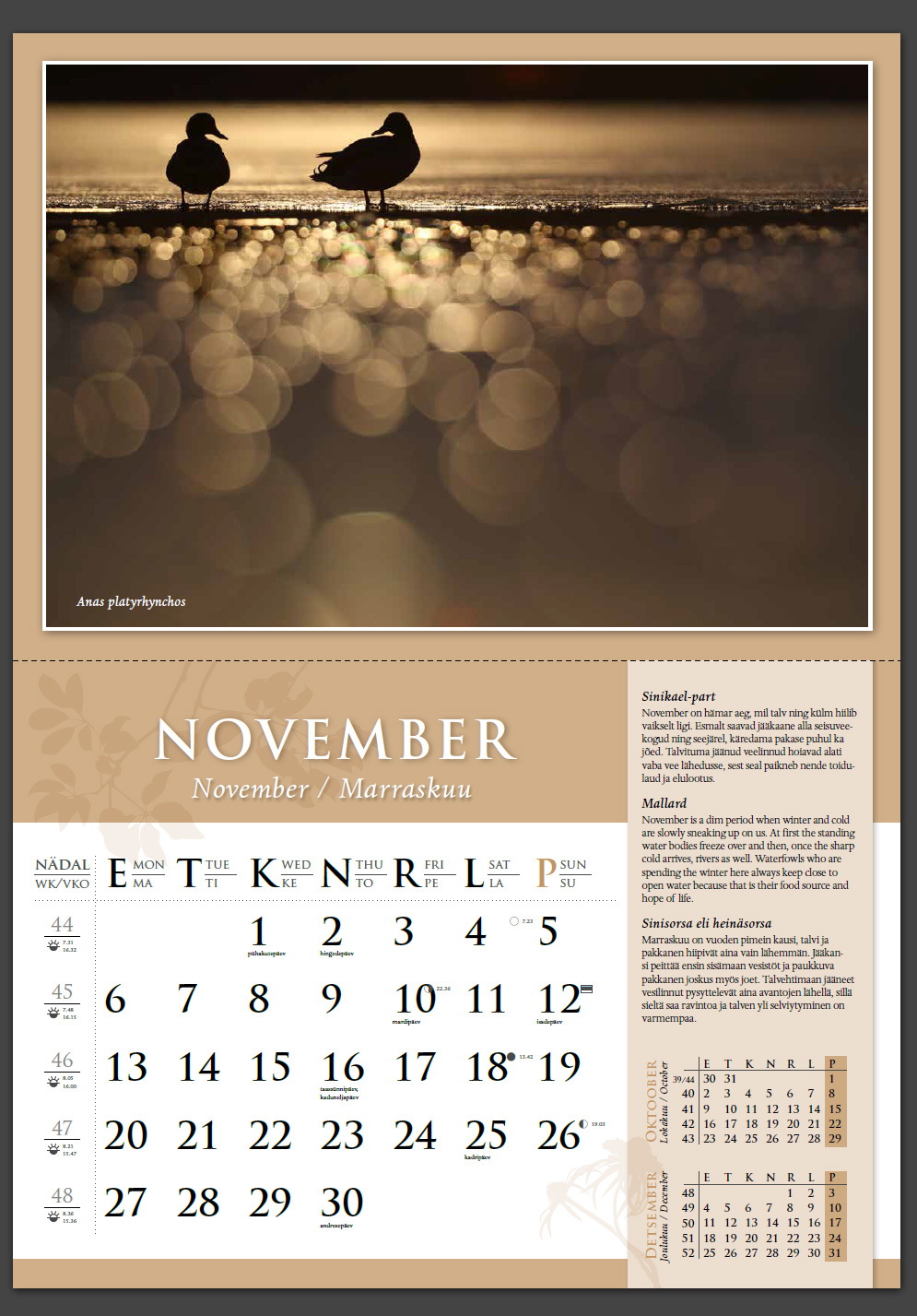 Remo Savisaar kalender 2016 Oktoober